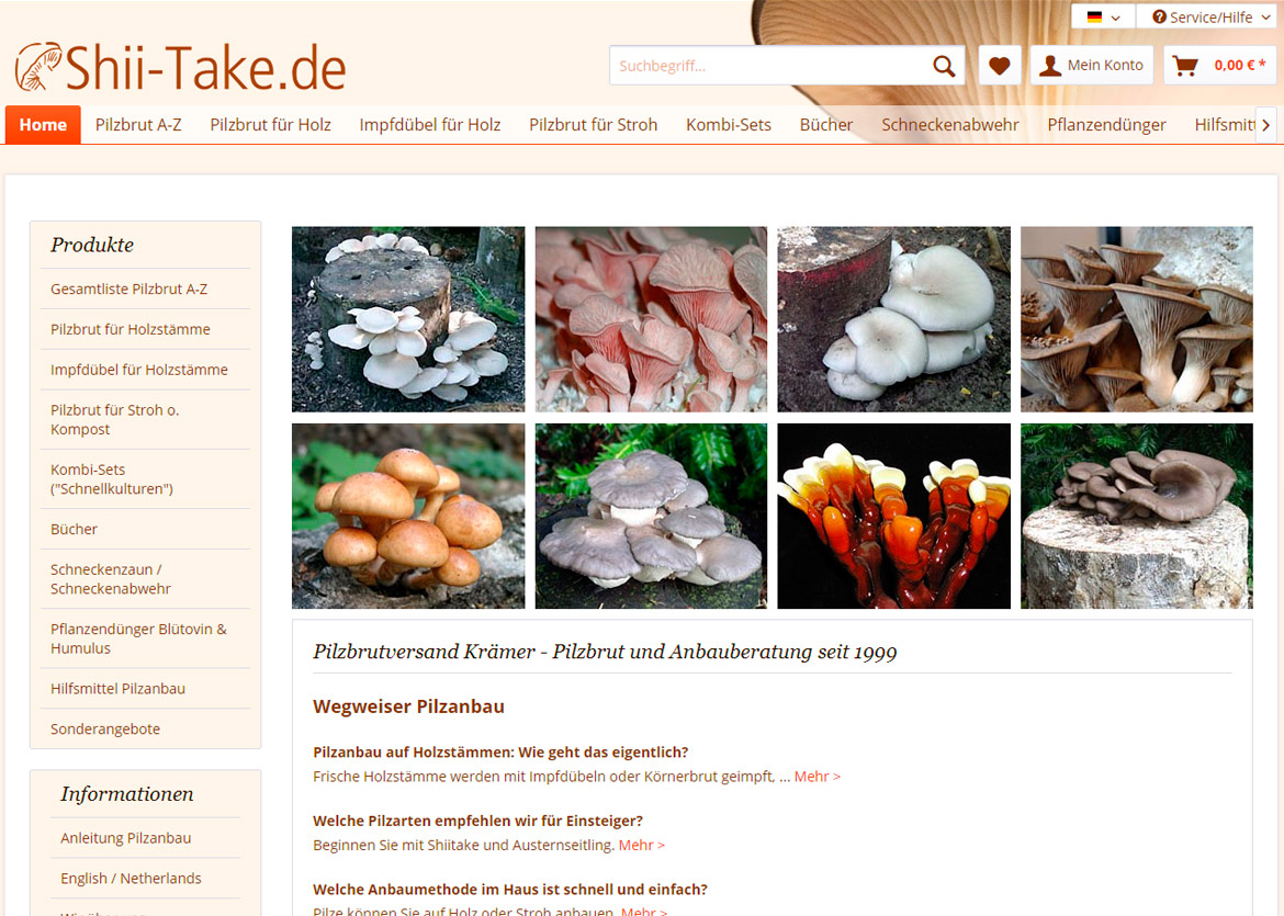 Shii-Take Pilzbrut